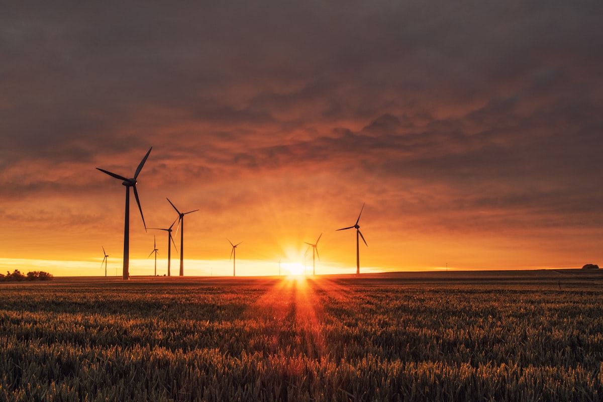Spain's role in the energy transition